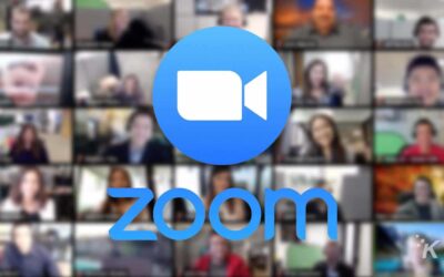 Recap of our Online Members’ ZOOM Forum